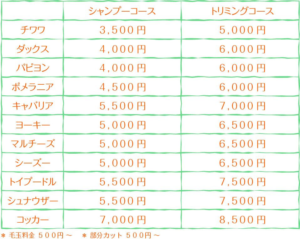 新料金01