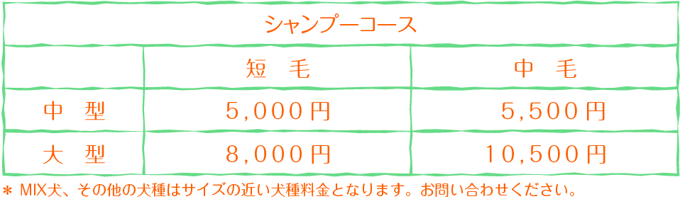 新料金02